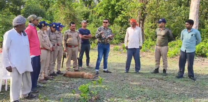 लालकुआ: टांडा रेंज में टस्कर हाथी का आतंक: वन विभाग अलर्ट मोड में, रेंज अधिकारी रूप नारायण गौतम ने संभाली कमान देखें वीडियो